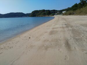 干潟観察会「美味しい牡蠣が育つ船越湾の秘密を訪ねて〜山と川と干潟と砂浜と湾と〜